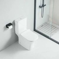inodoro ceramica luja cisterna baja