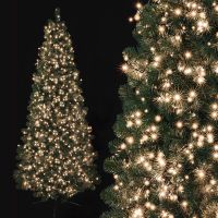 750 warm white treebrights with timer