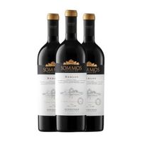 sommos vino tinto coleccion somontano crianza 75 cl 14 vol pack de 3 unidades