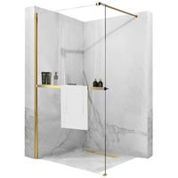 pared de la ducha rea aero gold 110  estanteria evo