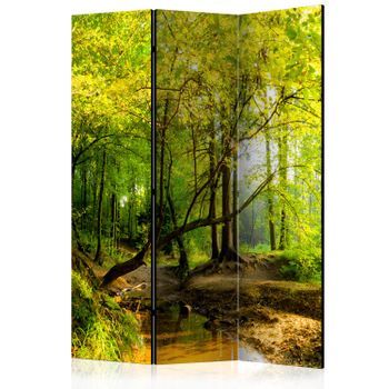 Biombo - Forest Clearing (135x172 Cm)