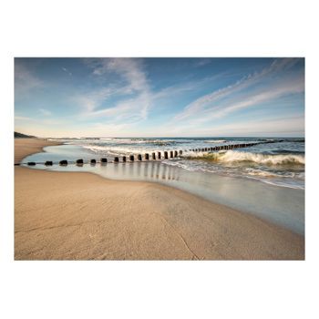Papel Pintado 3d - Sea Breeze (250x175 Cm)