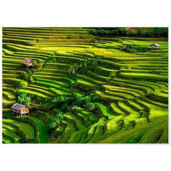 Panorama Dibond De Aluminio Arrozales Bali 100 X 70 Cm | Impreso En Aluminio Dibond Blanco De Alta Calidad | Cuadros Paisajes | Cuadros Decoración