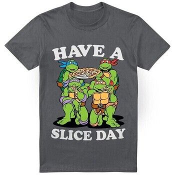 Teenage Mutant Ninja Turtles Camiseta Have A Slice Day para hombre