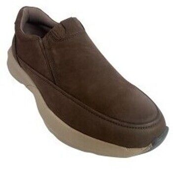 Paredes Zapatos Zapato caballero riola cp25570 marron para hombre