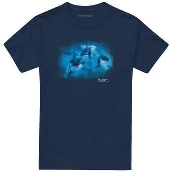 Wildlife Camiseta Pod Of Orcas para hombre