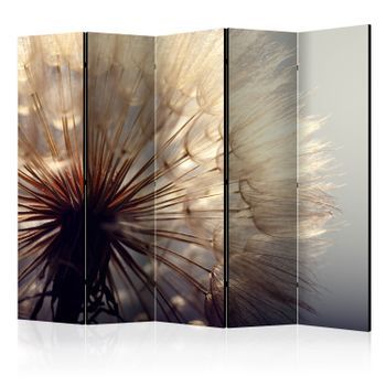 Biombo - Dandelion Kiss Ii (225x172 Cm)