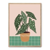 cuadro plant plot iv
