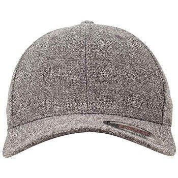 Flexfit Gorra L-XL PC4817 para hombre