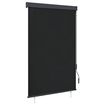 Estor Enrollable De Exterior Gris Antracita 120x250 Cm Vidaxl