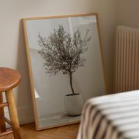 cuadro olivo marco premium chapado en roble 50x70 cm