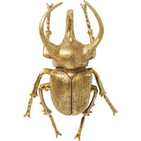 deco de pared insecto escarabajo en poliresina dorada