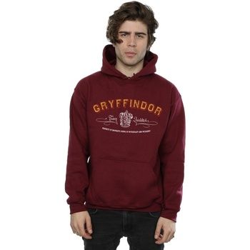 Harry Potter Jersey Gryffindor Quidditch para hombre