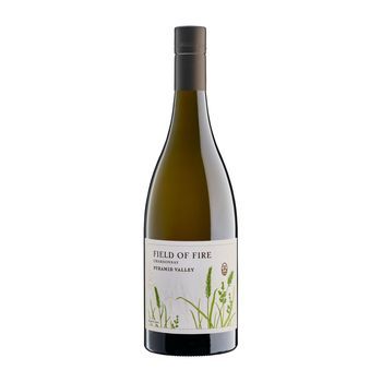 Pyramid Valley Vino Blanco Field Of Fire North 75 Cl