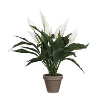 planta artificial spathiphyllum blanco  h50xb40xl40cm