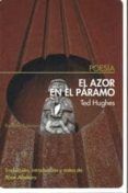 el azor en el paramo