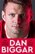the biggar picture