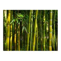 papel pintado 3d - un bosque de bambu en asia 300x231 cm
