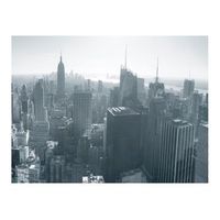 papel pintado 3d - panorama de nueva york en blanco y negro 300x231 cm