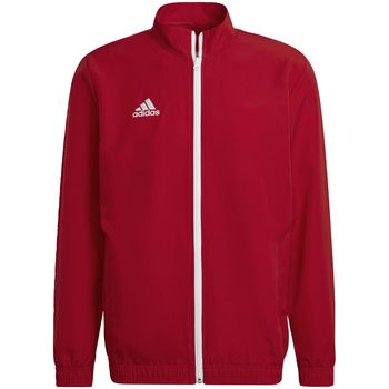 adidas Chaqueta deporte Entrada 22 para hombre