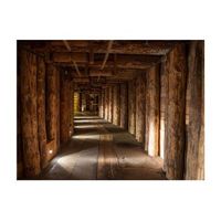 papel pintado 3d - wooden passage 200x154 cm