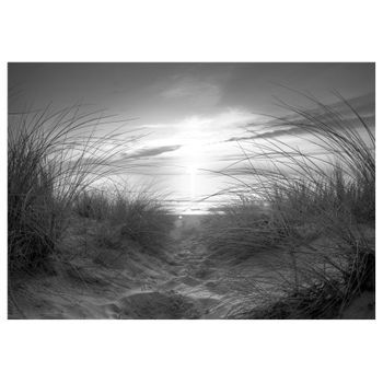 Papel Pintado 3d - Beach (black And White) (200x140 Cm)