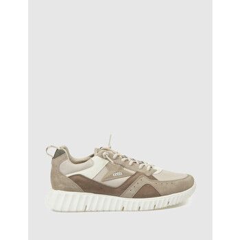 Cetti Zapatillas ZAPATILLA 1405 TAUPE para hombre