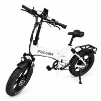 eu direct puluma eb fm20 bicicleta electrica 48v 15ah bateria 500w motor velocidad maxima recomendada 25 kmh neumati