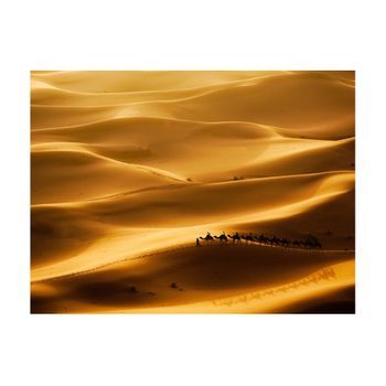 Papel Pintado 3d - Caravana De Camellos (350x270 Cm)