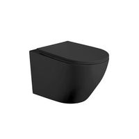 inodoro suspendido empotrado rimless  negro mate  vater colgante de ceramica con montaje a pared