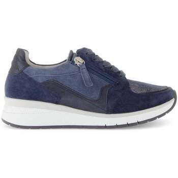 Gabor Zapatillas 66.307 para mujer