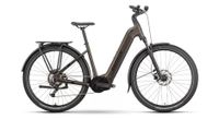 bicicleta electrica raymon tahona wave shimano essa 8v 600wh 29   marron 2025