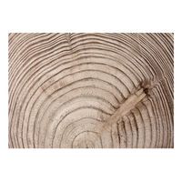 papel pintado 3d - anillo de madera 150x105 cm