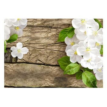 Papel Pintado 3d - Belleza Cruda (350x245 Cm)