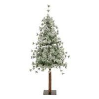 nordstar abeto 150cm