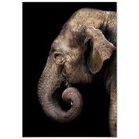 panorama cuadro de aluminio elefante perfil 70x100 cm