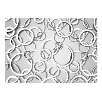Papel Pintado 3d - Círculo Vicioso (150x105 Cm)