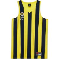 camiseta fenerbahce nike 2020-21