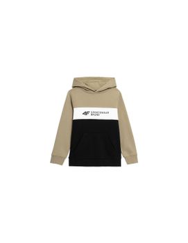 Sudadera 4F JBLM003 Niño Marrón