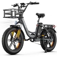 bicicleta electrica urbana flyrun f2013 fat tire bateria de 624 wh neumaticos de 204 gris