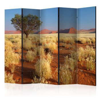 Biombo - Desert Landscape, Namibia Ii [room Dividers]