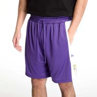 short lakers nba graphic mesh new era