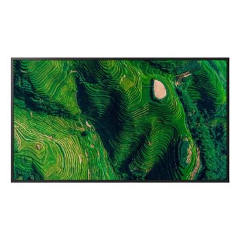 Monitor Sony BZ35P 43