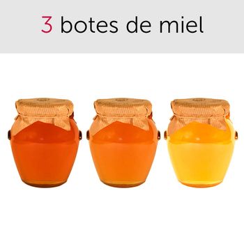 Pack de mieles artesanas: Eucalipto, azahar y Romero