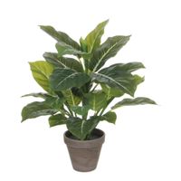 planta artificial evergreen verde  h49xb40xl40cm