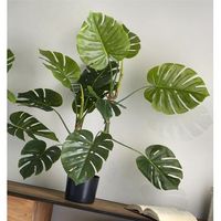 planta split philo 110 cms 110 cms