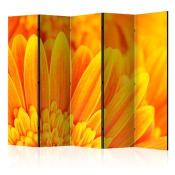 Biombo - Yellow Gerbera Daisies Ii (225x172 Cm)
