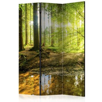 Biombo - Forest Lake (135x172 Cm)