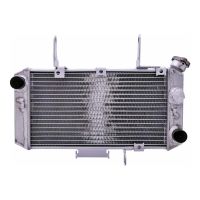 refrigerador motor suzuki dl 650 v- strom -11 agua