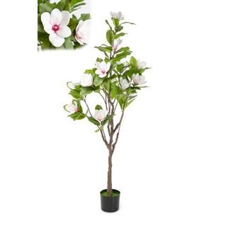 Maceta Magnolio